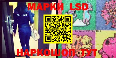 прущие крисы Баксан