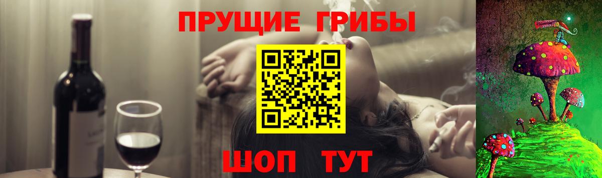 Дербент  Псилоцибиновые грибы ЛСД  Вход с VPN 